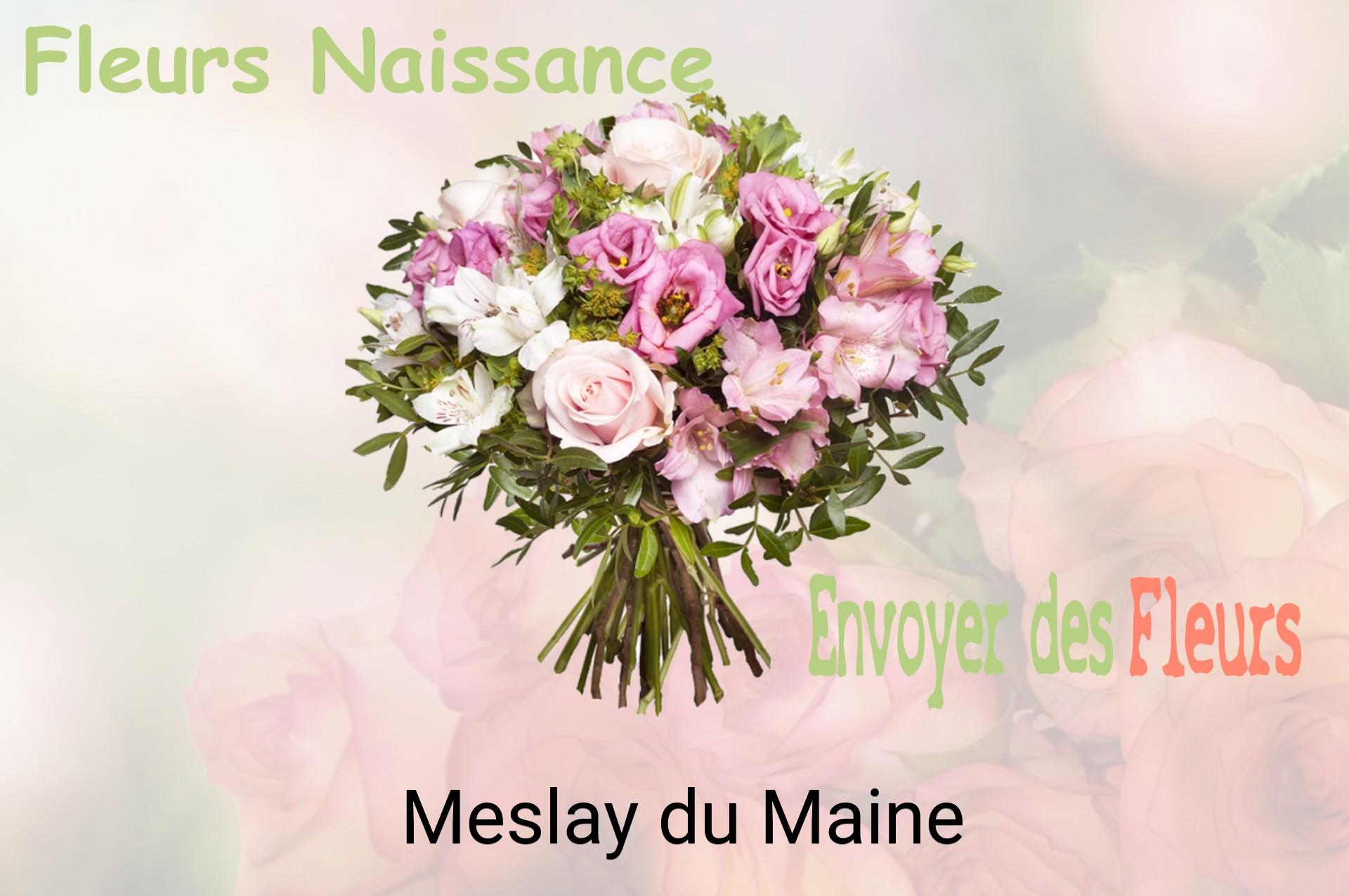 Bouquet de fleurs de naissance livré à Meslay-du-Maine